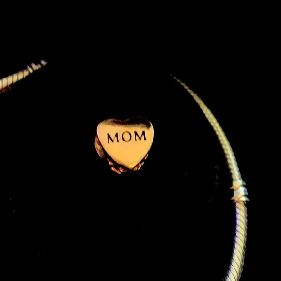 Pandora type mom charm